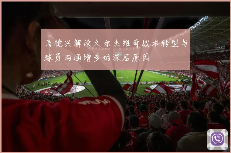马德兴解读久尔杰维奇战术转型与球员沟通增多的深层原因